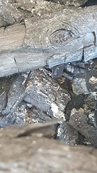The image shows a close-up view of charred wood, likely from a fire. The texture is rough and ashy, with pieces of charcoal of various sizes. Some of the wood appears to have been larger logs, now broken into smaller fragments. There are visible cracks and fissures on the surface of the charred material. The overall color palette is dominated by shades of gray and black, with some lighter specks of ash or residue. The lighting is diffuse, creating a somewhat soft focus, particularly in the foreground. There is no indication of the city of Ust-Labinsk, Russia, or any specific environmental context beyond the immediate subject matter. No people or actions are depicted.