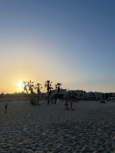This media file depicts a beach scene at sunset in Canet d'en Berenguer, Spain. The image is oriented vertically, with the sky taking up the left half and the beach and buildings filling the right. The sun is setting, casting a warm, golden glow across the sky and illuminating the sand.
The beach is covered in rippled sand, with several palm trees silhouetted against the bright sky. In the background, a row of buildings, likely apartments or hotels, lines the beachfront. Scattered on the sand, there are a few people. Some appear to be standing or walking, while others are near what looks like playground equipment, possibly children playing. One person is visible in the lower right corner, walking on the sand.
The time of day is clearly sunset, indicated by the low angle of the sun and the warm, orange and yellow hues in the sky. The weather appears to be clear and calm, typical for a beach evening. The presence of palm trees and the architectural style of the buildings suggest a Mediterranean location, consistent with Canet d'en Berenguer. The overall mood is peaceful and relaxed, capturing the end of a pleasant day at the beach. There is no discernible text visible in the image.