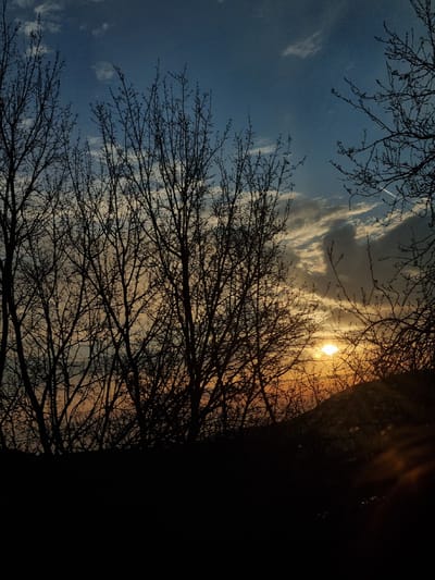 The image depicts a sunset viewed through bare tree branches, likely in or near Malinovo, Bulgaria. The sky transitions from blue with scattered white clouds to an orange-yellow hue near the horizon, where the sun is visible. The silhouetted branches of trees are prominent against the sky, some of which extend into the foreground. A portion of a tree trunk or other dark mass obscures the right side of the image.