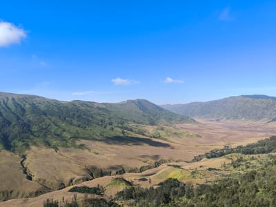 A wide shot captures a vast, rolling landscape under a bright blue sky with a few wispy clouds. In the foreground, a dense cluster of dark green trees and bare branches creates a natural frame. Beyond this, the terrain slopes downwards, covered in dry, golden-brown grass that shows subtle undulations and small ravines. Patches of greener vegetation appear scattered across these slopes.
Further in the mid-ground, the landscape opens into a broad, arid valley. This valley floor is predominantly a light brown, with faint traces of a winding riverbed or dry stream. The valley is flanked by gentle, sloping hills.
The background is dominated by a series of larger, imposing mountains. The slopes of these mountains are heavily vegetated, with a distinct pattern of green, likely trees and shrubs, covering their surfaces. The mountain ranges extend into the distance, their forms softening and becoming lighter in hue against the horizon. The overall impression is one of a remote, natural environment, potentially a caldera or a large valley system in a mountainous region. This scene is consistent with the landscape found in and around Ngadas, Indonesia, known for its volcanic topography. There are no people or animals visible in the image.