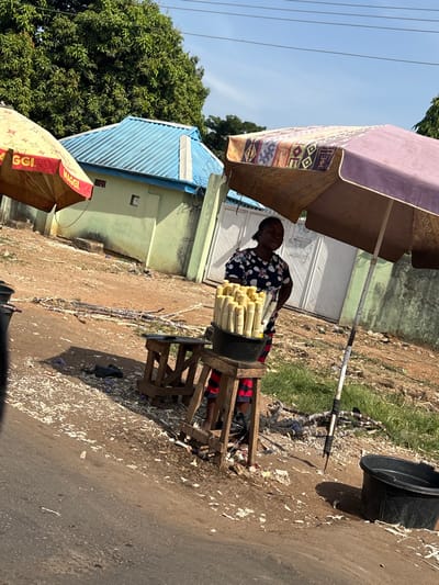 The image depicts an outdoor scene in Tataura, Nigeria, featuring a roadside vendor. An adult female, wearing a dark floral-patterned short-sleeved top and red and black striped shorts, stands with her hands on her hips, looking slightly to the viewer's left. She is positioned behind a vending setup consisting of a black plastic basin filled with numerous peeled sugarcane sticks, arranged upright, placed atop a wooden stool with red and black striped fabric visible around its base. An empty, unadorned wooden stool is situated to the left of the sugarcane display. Two market umbrellas provide shade: one on the left is yellow and red with "MAGGI" text partially visible, and another on the right is purple with geometric patterns along its edge. The ground beneath the setup is unpaved, composed of reddish-brown dirt, extensively scattered with white sugarcane peelings and segments of sugarcane stalk. A paved road surface is visible in the lower left foreground. In the background, a light green building with a light blue corrugated metal roof is visible, along with a white gate supported by a light green pillar. Lush green trees are prominent in the upper background, under a clear blue sky. A dark plastic bucket rests on the ground to the right of the patterned umbrella's central pole.