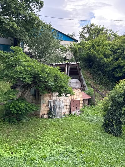 The image depicts an overgrown, rustic scene, likely in a rural setting. The primary subject is a small, weathered shed constructed from brick and wood, situated amidst abundant green foliage. The shed appears old and somewhat dilapidated, with a metal roof and wooden doors. A rusty metal sheet with circular holes is attached to the brickwork beside the shed. A metal grate is visible on the wall of the shed, possibly covering a window.

Surrounding the shed is a dense growth of trees and plants, suggesting a natural, untamed environment. In the background, a portion of a building with a blue roof is visible, peeking through the leaves. The sky above is partly cloudy, with patches of blue and white. The overall impression is one of a forgotten or neglected corner of a property, reclaimed by nature.

The time of day appears to be daytime, given the light and sky conditions. The weather seems mild and possibly humid, consistent with a lush, green environment. There are no people visible in the image, and no text is discernable. The scene evokes a sense of quietude and perhaps nostalgia for a simpler time. The location context of Guamka, Russia, suggests a temperate climate where such vegetation growth would be common.