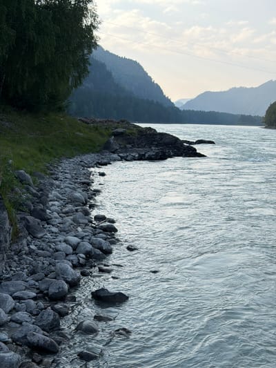 The image depicts a wide, choppy river flowing past a rocky shoreline. On the left, a steep, grassy embankment covered with trees slopes down to the water. A jumble of large, gray stones forms the shoreline, some submerged in the flowing water. In the distance, misty, tree-covered mountains rise, their peaks fading into the overcast sky. The water's surface is textured with ripples and small waves, reflecting the muted light of a cloudy day. Overhead power lines are visible stretching across the sky between the trees and the mountains. The scene conveys a sense of natural, untamed beauty in a remote, mountainous landscape.