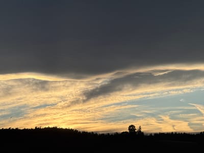 This is a photograph of a dramatic sunset over a dark silhouette of trees, likely in or near Lufingen, Switzerland. The sky is filled with a complex interplay of clouds. The uppermost portion of the sky is a deep, dark gray, suggesting storm clouds or the late stages of twilight. Beneath this, a band of bright, golden clouds stretches across the horizon, catching the last rays of the setting sun. Wispy, lighter clouds are interspersed within this golden band, creating a textured and dynamic appearance. Further down, the sky transitions to a pale blue, with more scattered, wispy clouds. In the foreground, a dense line of trees forms a dark silhouette against the brightly lit sky, obscuring the ground below. One distinct, larger tree stands out from the rest of the treeline on the right side of the frame. On the far left, a small, dark object, possibly a bird or an aircraft, is visible in flight against the lighter clouds. The overall impression is one of a serene yet powerful natural spectacle.