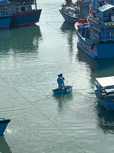 The image, which appears rotated 90 degrees clockwise, shows a daytime scene at a fishing harbor or bay in Ninh Chu Ward, Vietnam. From an elevated perspective, a person in a traditional round, blue coracle (basket boat) is the central focus on the calm, reflective water. The number "02" is clearly visible in white on the side of the coracle. The individual is wearing a blue shirt and is actively using paddles or oars to maneuver the small boat, suggesting movement or work related to the surrounding larger vessels.

Several larger fishing boats are visible, docked or anchored in the water around the coracle. These vessels are predominantly blue with white or light-colored upper structures and some red trim, typical of local fishing fleets. Their hulls and details are reflected in the slightly rippled, greenish-grey water. Multiple ropes or lines extend across the water, indicating mooring or fishing activities. The scene conveys a sense of daily life and work in a coastal community under clear, bright daylight conditions.