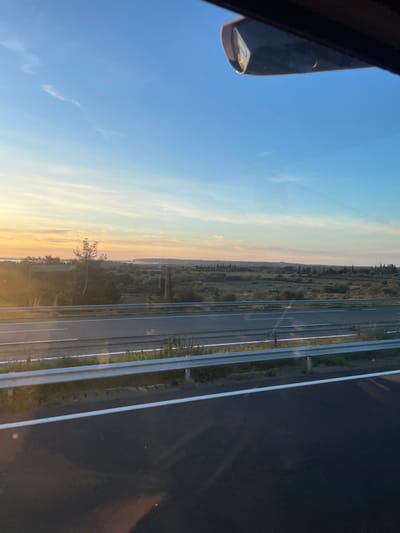 The image displays an outdoor landscape viewed from a vehicle, likely during sunrise or sunset, in the vicinity of La Palme, France. The top right corner reveals a dark gray component of a vehicle's exterior mirror housing. The foreground features a multi-lane asphalt highway with white lane markings, separated by a metal guardrail system consisting of at least two horizontal rails. Beyond the guardrail, the terrain is dominated by low-lying scrub vegetation and numerous trees, including identifiable slender evergreens and one prominent light-barked deciduous tree on the left. In the distant left, a body of water, possibly a lagoon or bay, is visible reflecting ambient light, bordered by a faint landmass on the far side. The sky transitions from a clear blue overhead to warm yellow, orange, and light pink hues near the horizon, with minimal wispy cloud formations. No individuals, animals, or other vehicles are present in the observable scene.