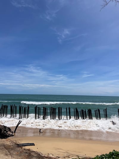 This image captures a daytime coastal scene in Ban Tha Chat Chai, Thailand. The upper two-thirds of the frame are dominated by a clear blue sky with sparse, wispy white clouds. Below the sky, the teal-colored ocean stretches to the horizon, featuring multiple lines of white-capped waves actively breaking. Faint silhouettes of distant vessels are visible on the far horizon. In the middle ground, a long, irregular line of approximately forty dark, weathered wooden pilings stands embedded in the shallow water, parallel to the shore. Waves are crashing against these pilings, generating significant white foam and spray. The lower third of the image shows a light tan sandy beach, which appears wet where the waves recede. In the immediate left foreground, dark, weathered pieces of driftwood and an exposed root system are present on the sand. A small patch of green foliage is visible at the bottom-right corner. No people are present in the scene.