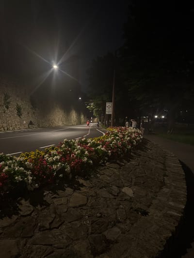 The image depicts a street scene at night in Bergamo, Italy. A curved road, illuminated by streetlights and a bright light fixture with visible rays, runs along a stone-walled embankment. A colorful flower bed with red, white, and yellow flowers borders the road. Several people are visible walking along a paved pathway next to the flower bed, and a motorcycle is parked on the side of the road. Trees and foliage line the pathway, and shadows are cast by the lights.