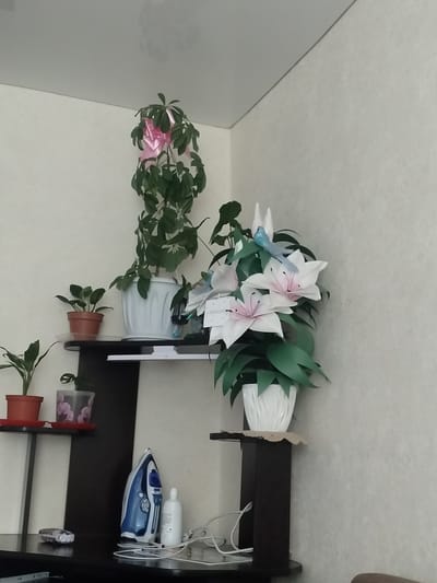 The image depicts an indoor scene featuring several potted plants and household items. In the upper left, a tall plant with dark green leaves and a pink bow is housed in a white pot. Below it, a smaller plant in a brown pot sits on a dark shelf. To the right, a large artificial bouquet of white and pink lilies with green foliage is placed in a white pot on a dark stand. A small blue bird figurine is perched on the bouquet. In the lower right portion of the image, an electric iron, a white bottle, and electrical cords are visible on a dark surface. Another small plant in a brown pot is seen on a lower shelf. The background consists of a textured off-white wall and a white ceiling. The scene appears to be a domestic setting, possibly a living room or a shelf unit in a residential area of Yarovoye, Russia. There are no people present in the image.