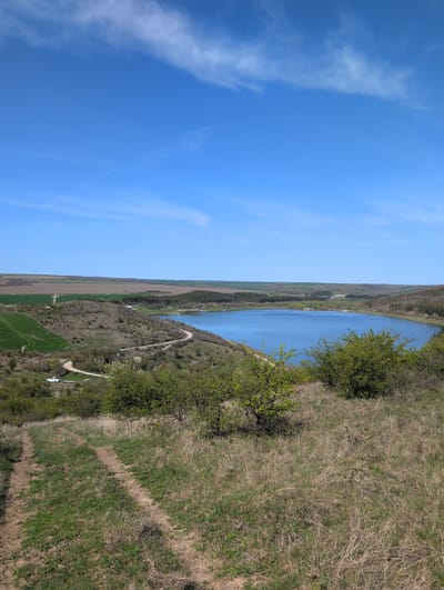 The image presents a serene panoramic landscape, dominated by a clear, bright blue sky with scattered wispy white clouds at the top. Below the expansive sky, a calm, blue body of water, likely a lake or wide river, stretches horizontally across the mid-ground, reflecting the clear sky.
On the right side of the water, a hilly bank rises, covered in a mixture of green and dry, light brown grasses, indicating a transitional season like spring. This bank is dotted with small trees and shrubs, some beginning to leaf out with fresh green foliage. Several unpaved paths or trails are visible traversing this terrain, winding down towards the water's edge and across the grassy slopes. One prominent path forms an 'X' shape in the foreground, suggesting a junction. A white vehicle, possibly an SUV or small truck, is parked near one of these paths, nestled among the green bushes on the lower right side of the image.
Across the water, on the distant left, the landscape flattens into extensive agricultural fields. These fields show varying hues of green and brown, suggesting different crops or stages of cultivation. A few clusters of trees are visible in the distance, and a small, indistinct structure can be faintly observed on the far bank of the water.
The scene depicts a peaceful, rural environment, likely captured on a sunny day during the spring season. There are no people visible, and no specific activities are taking place, presenting a tranquil natural vista. The setting is consistent with a landscape found around Buhovtsi, Bulgaria. No visible text is present in the image.