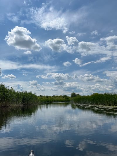 The image depicts a tranquil waterway bordered by lush green reeds and vegetation on either side. The water's surface is calm and reflective, mirroring the bright blue sky dotted with fluffy white clouds. In the foreground, a small portion of a dark-colored vessel, possibly a boat or kayak, is visible, suggesting the perspective is from on the water. The scene evokes a sense of natural beauty and peacefulness. This landscape is consistent with the natural environment found in and around the city of Shchuchye, Russia, known for its picturesque waterways and abundant greenery.