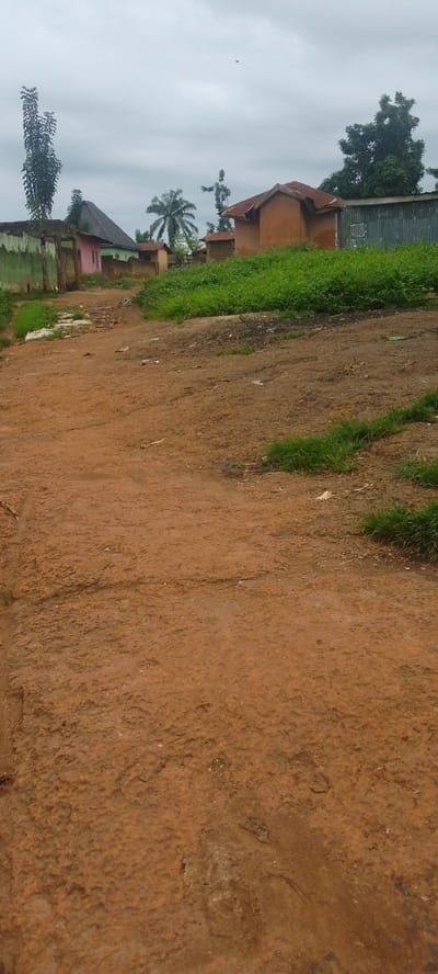 This image depicts a dirt road in a rural or semi-urban area, possibly in Baissa, Nigeria, under an overcast sky. The road is reddish-brown and uneven, with some patches of sparse green grass growing alongside it. On either side of the road, there are a few buildings. To the left, a low-lying structure with a green painted wall and a corrugated metal roof is visible, adjacent to a brick wall. Further down the road on the left, there are other buildings with colorful facades, including a pink one. To the right, a cluster of buildings with orange-brown walls and rusty corrugated metal roofs are situated. In the background, there are trees and dense green foliage. A distant, faint object, possibly a bird or an insect, is discernible in the sky. The overall impression is one of a simple, lived-in environment.
