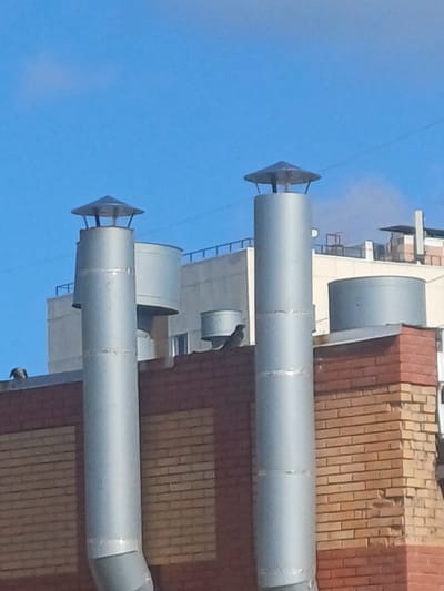 Two large, silver-colored industrial chimneys are visible against a bright blue sky. The chimneys are topped with conical metal caps. They are situated on a building with a brick facade, composed of alternating bands of red and yellow brick. In the background, other structures and industrial elements are partially visible. A bird is perched on the edge of the brickwork to the left of the leftmost chimney, and another bird is on the roof to the left of the scene. The overall impression is an industrial or urban environment, likely an apartment building or commercial complex.