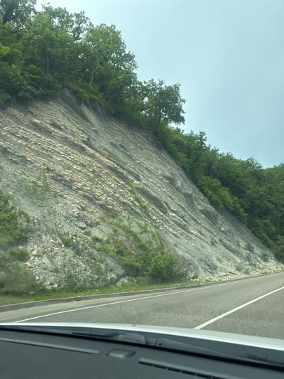 The image depicts a roadside view of a steep, rocky incline covered with a wire mesh erosion control system. The incline is stratified with layers of rock, some of which are lighter in color, interspersed with darker gray rock. Small green plants and bushes are growing on the lower parts of the incline. At the top of the incline, dense green trees form a canopy. A paved road runs along the bottom of the image, with a white line marking the lane. The sky above is a pale, hazy blue. The perspective suggests the photograph was taken from inside a vehicle, looking out towards the embankment. The location is identified as the city of Dederkoi, Russia.