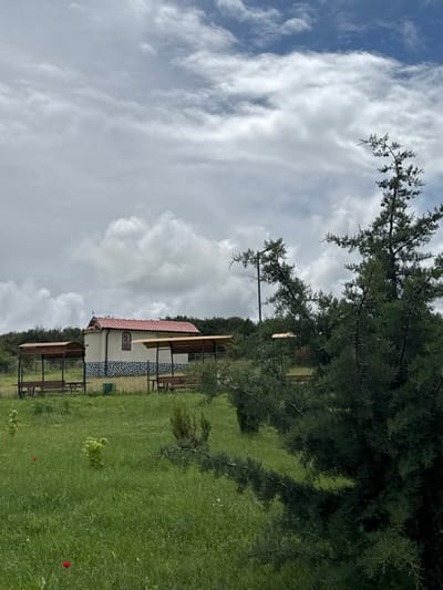 This image depicts a serene rural landscape, likely in Dragovishtitsa, Bulgaria, featuring a small building nestled amidst abundant greenery under a partly cloudy sky.
The central subject is a modest, one-story building with a distinctive reddish-orange tiled gable roof and light-colored walls. The lower portion of the building's facade is adorned with a decorative mosaic of dark grey stones. A small, framed image or plaque, possibly a religious icon, is visible on one of the walls. In front of the building, two covered structures with wooden benches provide shaded seating areas.
The ground is covered with lush, vibrant green grass, with some areas appearing like a mown lawn and others more wild. Several tall evergreen trees, possibly conifers, dominate the upper part of the frame, their branches extending across the sky and casting shadows. The trees show prominent pinecones. A few small red flowers, possibly poppies, add splashes of color to the grass in the foreground. In the distant background, more trees and undulating terrain are visible, suggesting hills or mountains.
The sky is a mix of large, fluffy white and grey clouds interspersed with patches of clear blue, indicating a bright but overcast or transitioning weather day. The time of day appears to be daytime, likely late morning or early afternoon, with ample natural light. No people are visible, suggesting a quiet and possibly secluded setting. There is no discernible text in the image. The scene evokes a sense of tranquility and a connection to nature, possibly a rest stop or a small chapel in a natural park or rural area.