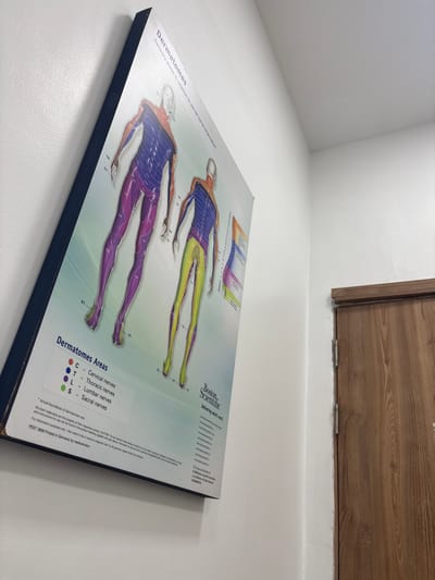The image captures a framed medical chart, titled "Dermatomes: Sensory areas in relation to spinal nerve innervation," placed on a white surface and angled upwards. The chart displays anterior and posterior views of the human body, segmented into various color-coded dermatome regions corresponding to different spinal nerve innervations: cervical (C), thoracic (T), lumbar (L), and sacral (S) nerves, with specific nerve root labels like C2-C8, T1-T12, L1-L5, and S1.
The setting appears to be an indoor room, with a plain white wall forming the background and a wooden panel or cabinet door visible in the upper right, complete with a hinge. The chart itself is branded "Boston Scientific" with their slogan "Delivering what's next." and lists various website addresses. Legal disclaimers at the bottom state that the chart is "For information purposes only - Not meant to be or used as a diagnosis tool," and provides copyright information from "2006 Boston Scientific Corporation." It also notes that it was "Printed in Germany by medicalvision." No activity is occurring in the scene, and no specific time of day or emotional context is conveyed.
