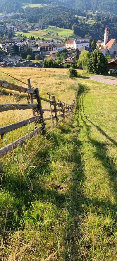 This image depicts a pastoral landscape in Deutschnofen - Nova Ponente, Italy, characterized by a sloping green meadow bordered by a rustic wooden fence. In the foreground, the fence, constructed from weathered logs, extends diagonally across the frame, with dry, tall grass growing around its base. Beyond the fence, the meadow transitions to a more manicured lawn, casting long shadows from an unseen source, likely the sun. In the midground and background, the town of Deutschnofen - Nova Ponente unfolds, featuring a cluster of buildings with tiled roofs, including a prominent church with a red spire. The town is nestled amidst rolling green hills dotted with trees and agricultural fields, creating a serene, rural atmosphere. The sky is clear and bright, suggesting a sunny day. No people are visible in the frame.
