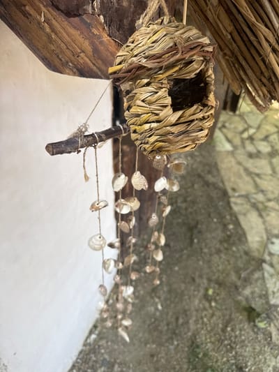 A close-up, eye-level shot shows a rustic, woven straw birdhouse hanging from a rough wooden beam. Below the birdhouse, a branch extends horizontally, from which hang two strings of small, natural-colored seashells, creating a shell wind chime. The background includes a white wall on the left, a thatched roof on the upper right, and a stone-covered ground on the right. The scene appears to be outdoors, possibly in a garden or on a porch, with natural light. The overall aesthetic is natural and handmade. The image is located in the Municipality of Indjija, Serbia.