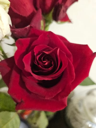 The image displays a close-up, top-down view of a singular deep red rose, centrally focused. Its petals exhibit a visible spiral formation towards the core. Portions of other flowers are present in the periphery: a blurred white or cream-colored flower is visible in the upper-left, and additional out-of-focus red roses appear in the background. Green foliage and stems are discernible, primarily in the lower-left and central-left areas. A blurred, reflective, silver-colored object, consistent with a metallic vase or container, is partially visible in the lower-right background. The overall background is a soft, light, undifferentiated tone. No individuals, specific actions, or interactions are depicted. The exact location within the city of Villeneuve-Saint-Georges, France, cannot be determined from the visual content provided.