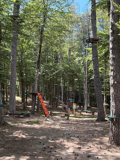 This image captures an outdoor adventure park situated within a dense forest in the city of Dolovi, Montenegro, under clear, bright daylight. Numerous tall, slender trees with verdant green foliage dominate the scene, casting dappled sunlight and shadows across the forest floor.
Elements of a high-ropes course are prominently featured. Multiple wooden platforms are secured to tree trunks at varying elevations. Rope nets, some serving as vertical ladders and others as suspended pathways, connect these platforms or hang from them; a large black net is visible in the upper right. Metal cables and ropes are strung horizontally between trees, indicating routes for participants. An orange climbing wall or ramp, equipped with handholds, leans against a tree trunk in the mid-left foreground.
The ground consists of reddish-brown soil mixed with small stones and a significant scattering of pine cones. Patches of green grass are visible in sunlit areas. Several rustic wooden benches are present on either side of a clear path in the mid-ground, suggesting designated resting areas.
In the central mid-ground, a yellow pole displays an "EXIT" sign in white text, with additional smaller, colorful signs affixed below it. Two individuals are discernible near this sign. One person, partially obscured by the sign, is wearing a red upper garment, possibly a safety vest, and appears to be wearing a blue helmet, facing away from the viewer. A second, partially obscured individual wearing a blue upper garment is visible further behind. Their specific activities are not clearly identifiable. The sky, visible through gaps in the tree canopy, is clear and blue.