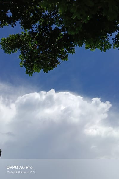 The image shows a cloudy sky with blue sky peeking through. Tree branches with green leaves are visible in the upper portion of the frame. A large white cloud occupies the middle section of the image. Text at the bottom reads "OPPO A6 Pro" and "25 Juni 2026 pukul 13.31". The location is stated to be in the city of Rheum Barat, Indonesia.