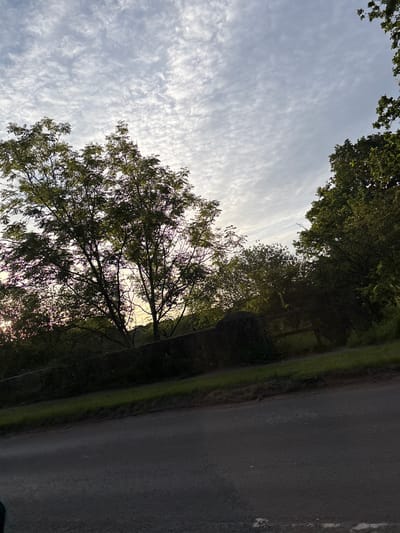 The image depicts a view of a rural road in South Staffordshire, United Kingdom, under a sky filled with scattered clouds. The road, paved with asphalt, occupies the lower portion of the frame, with a grassy verge bordering its left side. Beyond the verge, a low stone wall runs horizontally, with dense foliage and trees behind it. The trees are lush and green, with a particularly large one silhouetted against the sky on the left side of the image, its branches intricately patterned against the clouds. In the distance, more trees and vegetation form a dark, verdant backdrop. The lighting suggests it is either early morning or late afternoon, with the sun possibly low on the horizon, casting a soft glow. There are no people or animals visible in the scene, and the overall impression is one of natural tranquility.
