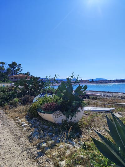 This is a horizontal, eye-level, outdoor photograph taken on a sunny day in Urbanització Platja De L'almadrava, Spain. The foreground shows a pathway made of sand and gravel on the left, bordered by dried grass and rocks. In the center, an overturned white boat serves as a planter, filled with various green plants, including cacti. Behind the boat, more vegetation and dried grasses are visible. In the midground, a pebble beach meets a calm, sparkling blue sea under a clear blue sky with a bright sun in the upper right corner. A distant coastline with buildings and mountains is visible across the water. The background includes trees and a house with a terracotta roof on the left side of the frame, and more buildings and distant hills on the right. There are no people visible in the image.