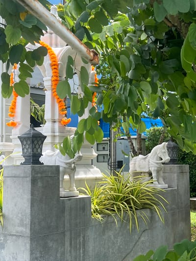 The image depicts an outdoor scene in Pa Khlok, Thailand, focusing on decorative elements of what appears to be a building or structure. A white, ornate structure with arched openings is adorned with strands of orange marigold garlands. In the foreground, a dark grey, hexagonal lantern sits on a grey stone pedestal. To the right of the lantern, a white stone sculpture of a horse in a standing pose is visible, also on a grey stone base. Behind the horse, another dark grey lantern is partially obscured by greenery. Lush green foliage, likely from a tree, drapes over the scene from the top. In the background, a bright blue structure is visible, along with some electrical equipment and other vegetation. The ground is covered with grey stone paving.