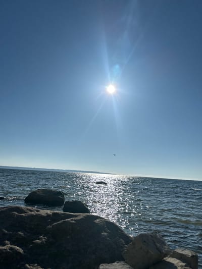 The image shows a clear blue sky with the sun shining brightly, casting a glare on the water. The sun is positioned in the upper center of the frame, with prominent sun flares extending outwards. Below the sky is a body of water, likely a bay or sea, with small waves. The surface of the water is covered in bright sparkles of reflected sunlight. In the distance, a faint, dark line suggests a coastline with some vegetation. In the foreground, there are several large, dark rocks partially submerged in the water and on the shore. The location is identified as Tabasalu alevik, Estonia. A small, dark silhouette of a bird is visible flying in the sky above the water. There are no people or any visible man-made structures in the immediate vicinity of the rocks and water.