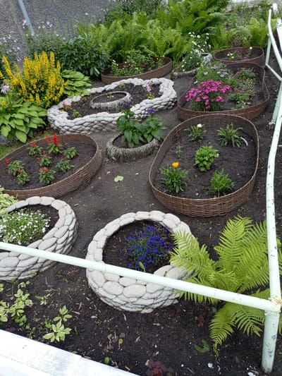 This media file is a high-angle, full shot of a garden bed filled with various flowers and plants. The scene is outdoors, with a focus on the floral arrangements. The garden features several distinct planters, some made of woven material and others constructed from rounded stones, creating a decorative border.

In the planters, a variety of flowers are visible. There are bright yellow flowers blooming profusely, clusters of pink and purple flowers, red flowers, white flowers, and blue flowers. Ferns are also present, adding a lush green element to the garden. The ground is covered in dark soil, with some fallen leaves scattered about. A light green metal railing runs across the foreground, suggesting a pathway or boundary.

The time of day appears to be daytime, likely overcast or a muted sun, as there are no strong shadows. The weather seems to be calm and possibly damp, given the dark soil. The location context provided is Shadrinsk, Russia, which places this garden in a temperate climate. There is no visible text in the image. The overall impression is a well-maintained, decorative garden, likely a public space or a private residence's outdoor area, designed to showcase a colorful array of plant life.
