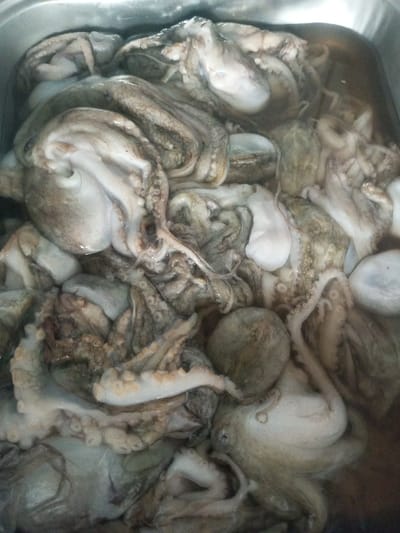 A stainless steel container is filled with a mass of fresh octopuses. Their gray-brown bodies and tentacles are closely packed, some submerged in a clear liquid. The tentacles display a variety of positions, some curled and others straight. The container's reflective surface adds to the brightness of the image.