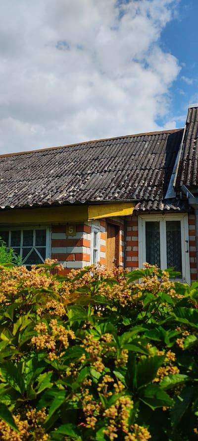 The image depicts a close-up view of a building exterior, with a focus on the roofline and a section of the brick wall. The roof is covered with weathered, grey corrugated sheeting, showing signs of age and some missing material. A yellow trim runs along the eaves of the roof. The building's walls are constructed from alternating rows of orange and white bricks. A white-framed window is visible on the left, with a geometric pattern of white lines on the glass. To the right of this window, a smaller white-framed window is present, and next to it, a wooden door. The number "5" is affixed to the brick wall above the smaller window. In the foreground, a dense cluster of green foliage with small, light brown flower buds obstructs the lower part of the building. The background shows a blue sky with scattered white clouds. The scene appears to be in an outdoor, possibly rural or suburban, setting. The image does not contain any people or indicate specific actions or interactions. The location is specified as Малая Листовка, Russia.