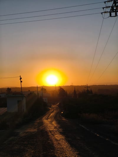 The image depicts a rural road in the city of Riba-roja de Túria, Spain, during sunset. The sun, a bright yellow orb, is low on the horizon, casting a warm orange glow across the sky and illuminating the dusty, winding road. Power lines crisscross the sky, supported by utility poles, one of which is visible on the left side of the frame. In the foreground, a small, white, rectangular building with a dark door stands on the left side of the road, partially obscured by shadows and vegetation. The road itself appears to be made of dirt or gravel and shows tire tracks, suggesting it is used by vehicles. The landscape in the background is dotted with trees and rolling hills, all silhouetted against the vibrant sunset. The overall scene conveys a sense of tranquility and the end of a day in a semi-arid environment.