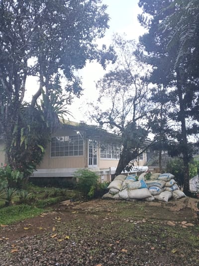 A beige house with many windows is partially obscured by trees. A large pile of sacks sits in the foreground on a dirt and gravel ground. Overgrown vegetation surrounds the base of the house and the area where the sacks are piled. The sky is overcast.