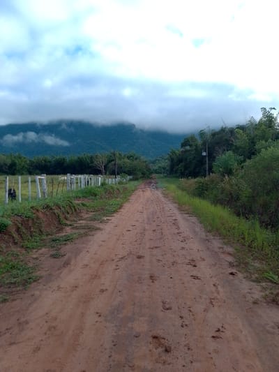 The image captures a rural landscape in Villarrica, Paraguay, characterized by a long, unpaved dirt road receding into the distance. The reddish-brown road, bearing visible tire marks and animal prints, stretches between lush green vegetation. On the left side, a rustic fence constructed from weathered wooden posts and wire separates the road from a grassy field, where faint shapes of what appear to be cattle can be discerned. Beyond this, a dense line of trees forms a natural boundary.

To the right of the road, a thick growth of green bushes and trees flanks the path, with a utility pole visible further along the roadside, blending into the foliage. In the background, a range of mountains rises, their peaks partially shrouded in low-hanging clouds and mist, creating a serene and somewhat hazy atmosphere. The sky is predominantly overcast, filled with soft, diffused white and light grey clouds, suggesting either early morning or late afternoon lighting conditions. The overall scene is devoid of human activity, conveying a sense of peace and natural quietude. No visible text is present in the media.