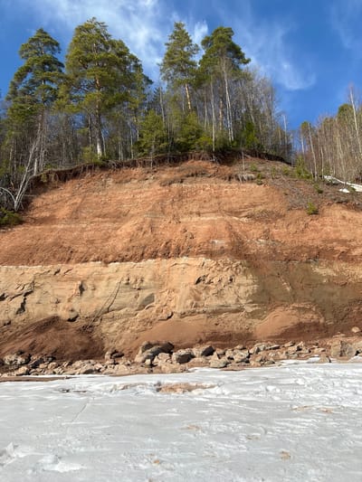 The image depicts a landscape in Berkuty, Russia, featuring a cliff face, trees, and snow/ice cover. The cliff face exhibits varying layers of soil and rock, with evidence of erosion and rockfall at the base. Trees, including evergreens and birches, grow along the top edge of the cliff. A section of snow or ice covers the lower left portion of the image, bordering the base of the cliff. The sky is visible in the upper right corner with blue sky. No people are visible in the image.