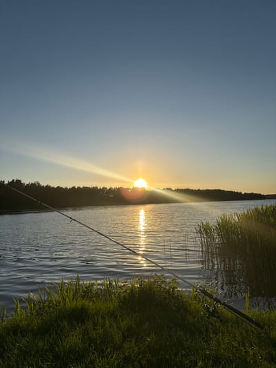 The image captures a sunset scene at a body of water in Абухаўскі сельскі Савет, Belarus. The sun, positioned near the horizon, casts a bright glow and reflection across the water surface. A dark treeline is visible in the distance along the horizon. The foreground features tall grasses and a fishing rod extending into the water. The sky transitions from a deep blue to a lighter, golden hue near the horizon.