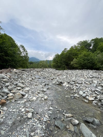 The image displays a wide, rocky riverbed located in Lagodekhi, Georgia, under an overcast sky. A shallow, clear stream of water flows from the midground towards the foreground, meandering through numerous grey and white river stones and pebbles of various sizes. The exposed riverbed consists predominantly of these rocks. Dense green deciduous forests line both sides of the river, extending into the midground. On the left bank, a significant pile of tangled branches and natural debris is visible on the edge of the rocky riverbed. In the background, forested mountains rise, with their upper sections partially obscured by low-hanging clouds or mist. The sky above is largely grey and cloudy. No individuals or man-made structures are present in the scene.