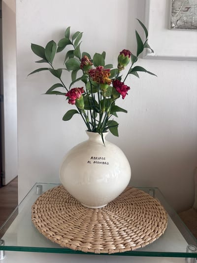 The image shows a white vase with wilting red carnations and green foliage. The vase is sitting on a woven, circular placemat on a glass-topped table. The vase has text written on it, "ABRIRSE AL ASOMBRO." The table is placed against a white wall, with a partially visible framed artwork above. It's likely that the image was taken indoors. The location, Medellín, Colombia, is not definitively confirmed by visual information in the photo but is provided as additional information.
