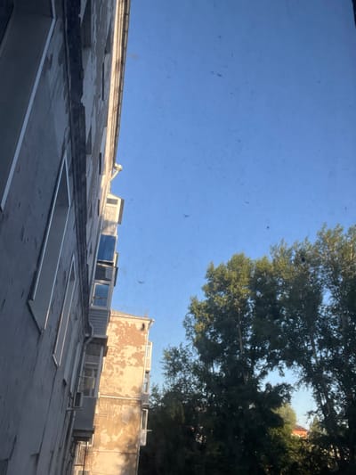 The image shows an outdoor scene in Kiselyovsk, Russia. The perspective is from a window, looking out at a building and trees against a clear blue sky. The building appears to be multi-story, with windows and some signs of wear on its facade. There is a large tree with green foliage in the foreground, partially obscuring the view of the building and the sky. The time of day appears to be late afternoon or early evening, as evidenced by the warm light illuminating the building. The sky is clear, suggesting fair weather. There are some small, dark specks visible in the sky, which could be insects or dust. No people or specific activities are depicted. No text is visible in the image. The overall impression is a quiet, everyday scene viewed from an interior space.