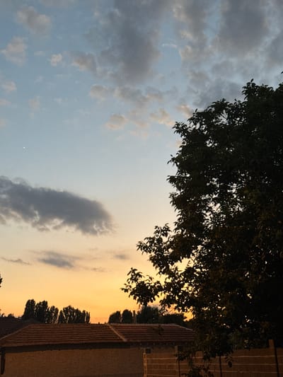 This is a vertical, full-shot photograph of a tree canopy silhouetted against a twilight sky. The sky transitions from a pale blue with scattered grey clouds on the left to a warm, golden orange on the right, indicating sunset or sunrise. A dark green tree occupies the top portion of the frame, with its leaves and branches obscuring parts of the sky. Below the sky, on the right side of the image, is a portion of a building with a reddish-brown tiled roof. The building's wall appears to be made of textured material, possibly stucco or brick, in a light brown or beige color. A line of dark trees is visible in the distance, silhouetted against the bright sky. The overall mood is serene and peaceful, characteristic of the end of the day. No people or text are visible in the image.