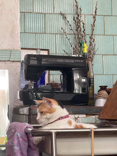 A calico cat is resting on a shelf in front of a black Toyota sewing machine. The cat is looking to the left, and its head is angled down. Behind the sewing machine, there is a wall tiled with pale blue, vertical tiles. A bouquet of pussy willow branches is in a vase behind the sewing machine, with a green and yellow spray bottle resting on top of the vase. A brown glass bottle is also on the shelf. To the right of the sewing machine is a wooden object that appears to be a cabinet or a piece of furniture. A pink and white towel is draped over a metal railing in the foreground, partially obscuring the cat's body. The overall scene suggests an indoor setting, likely a domestic space in Гаспринский поселковый совет, Ukraine, perhaps a workshop or crafting area.