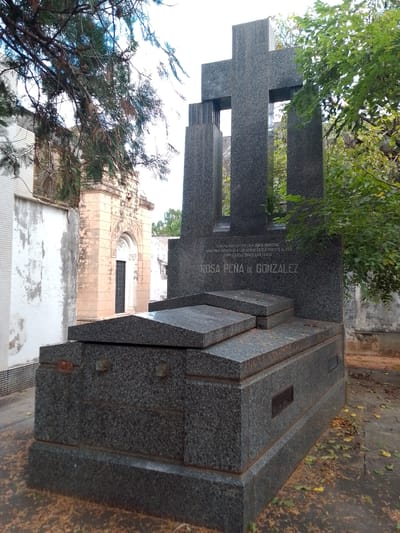 The image shows a large, dark grey granite tombstone in a cemetery. The tombstone has a raised, rectangular base with a flat top, above which is a smaller, similar structure. Above that, a large cross shape is carved into the stone. The inscription "ROSA PENA DE GONZALEZ" is visible on the tombstone. The tombstone is situated in the Recoleta Cemetery in Asuncion, Paraguay. Other tombstones and mausoleums can be seen in the background, partially obscured by trees. The ground is covered with fallen leaves. The sky is overcast.