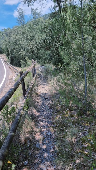 The image depicts a dirt path bordered by a rustic wooden fence on the left and dense vegetation on the right. The path is covered in gravel and fallen leaves, with scattered sunlight dappling the ground. A paved road is visible to the left of the fence, curving away into the distance. The background is filled with a thick forest, with a bright blue sky and white clouds visible above the trees. The scene appears to be a natural landscape, possibly a hiking trail or a rural roadside. The location is identified as Tortellà, Spain.