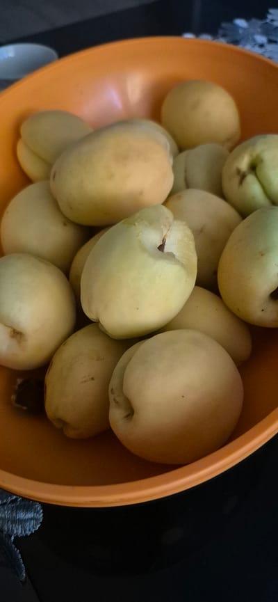 A close-up, overhead shot shows several light yellow plums in an orange bowl. The plums are plump and round, with a slight indentation on one side, indicating where the pit would be. Their skin is smooth and appears to have a matte finish, with some subtle variations in color ranging from pale yellow to a hint of green. A few small, dark specks are visible on the skin of some plums.
The bowl is made of a bright orange plastic and is tilted, with the plums spilling out slightly over the rim. The interior of the bowl is also orange and reflects some light, creating subtle highlights. The background is dark and out of focus, with the right side of the image being almost entirely black, suggesting a dimly lit environment. To the left, a sliver of a white object is visible, possibly a plate or another bowl. A dark, textured material, possibly fabric or a basket, is visible on the lower right edge of the frame, partially obscuring the orange bowl.
The lighting is soft and casts gentle shadows, highlighting the rounded forms of the plums. There are no people visible in the image. The scene appears to be indoors, likely on a countertop or table. The focus is entirely on the fruit and the bowl, creating an intimate portrait of the plums. The overall impression is one of freshness and simplicity. There is no visible text in the image. The location context of Metsamor, Armenia, does not provide any specific visual cues within the image itself.