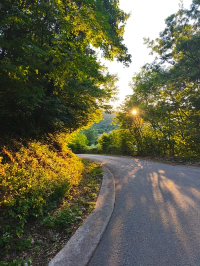 An asphalt road curves to the right, bordered by a concrete curb on the left and a grassy embankment. Lush green trees line both sides of the road, with the sun setting through the canopy on the right, casting long shadows onto the asphalt. The left embankment is illuminated by the warm, golden light of the setting sun. The background shows a hilly landscape with more vegetation and some distant buildings. The scene depicts a tranquil, natural environment in the city of Campochiaro, Italy, during the golden hour.