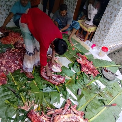 A man wearing a red shirt and white and blue patterned lungi is cutting up raw meat on a bed of banana leaves. The man is using a large knife to separate the meat. There are other pieces of meat surrounding him, as well as a metal plate, a rock, and a red container with a white lid. The man is standing in front of a building with tiled walls and a doorway. There is a small wooden table with an orange top and a white table runner beside the man. To the right of the table, there is a man sitting down. He is wearing a grey and red striped shirt, blue shorts, and white socks. He is looking off to the left side of the image. There is an electric fan with a white plastic housing behind him on a tiled platform. The scene takes place in the city of Lalmohan, Bangladesh, at latitude 22.36, longitude 90.765.