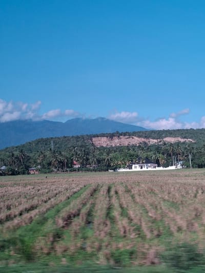 The image depicts a rural landscape in Meukokuthang, Indonesia, under a clear blue sky with scattered clouds. In the foreground, a field of harvested crops or dry grass stretches across the frame, with rows of stubble and some patches of green vegetation. Further back, a dense green forest with numerous palm trees blankets a hilly terrain. A prominent feature on the hillside is a large, exposed cliff face with evidence of erosion or excavation, revealing layers of soil and rock. At the base of the hill, nestled amongst the trees, are several buildings, including a white house with a dark roof and other smaller structures. A communication tower is visible on the left side of the hill. The overall scene suggests a tranquil, agricultural environment with a backdrop of natural geological formations and vegetation.