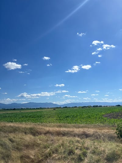 A bright, sunny day features a vast expanse of blue sky dotted with scattered white clouds. A diagonal streak of light, possibly from the sun, cuts across the upper right quadrant of the sky. In the middle ground, a vibrant green field, likely a crop of corn, stretches horizontally across the frame, bordered by dry, golden-brown grasses in the foreground. In the distance, a range of low, hazy mountains forms the horizon, with a few scattered trees and buildings visible along their base. The image appears to be taken from a moving vehicle, as suggested by a slight reflection or distortion on the left side of the frame, potentially indicating a window. The scene depicts a rural landscape, likely in or near the city of Voysil, Bulgaria, characterized by agricultural land and natural topography under a clear sky.