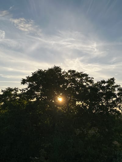 The image depicts a silhouetted tree with the sun setting behind its foliage. The sky above is a pale blue, streaked with wispy white clouds. The sun is a bright orb peeking through the leaves, casting a warm glow. The lower portion of the image is dominated by the dark green mass of the tree's leaves, obscuring much of what lies beneath. The scene is likely captured at dusk. There is no visible indication of the city of Mondercange, Luxembourg.